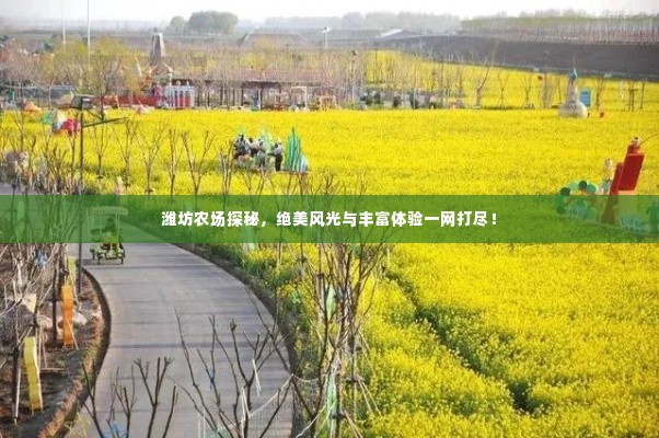 潍坊农场探秘，绝美风光与丰富体验一网打尽！