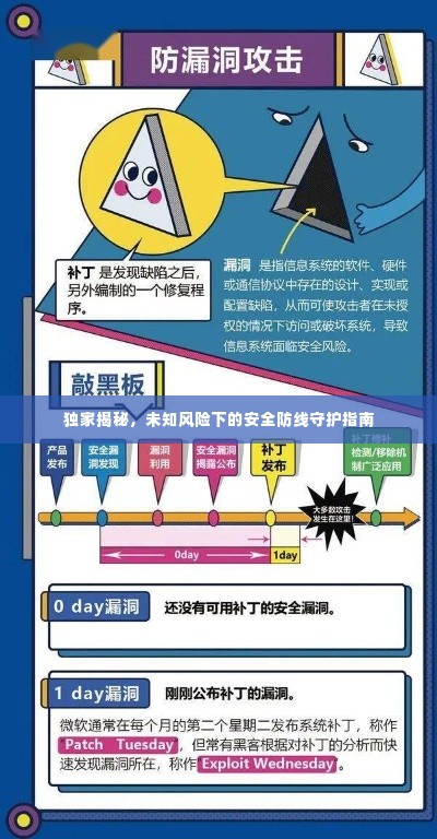 独家揭秘，未知风险下的安全防线守护指南
