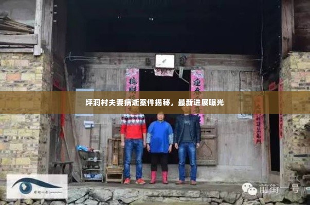 坪洞村夫妻病逝案件揭秘，最新进展曝光