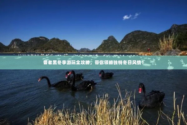 普者黑冬季游玩全攻略，带你领略独特冬日风情！