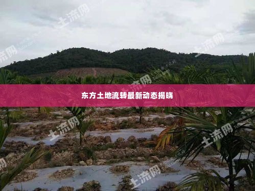 东方土地流转最新动态揭晓