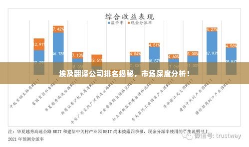 埃及翻译公司排名揭秘，市场深度分析！