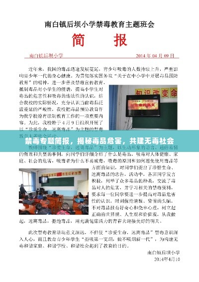 禁毒专题简报，揭秘毒品危害，共建无毒社会