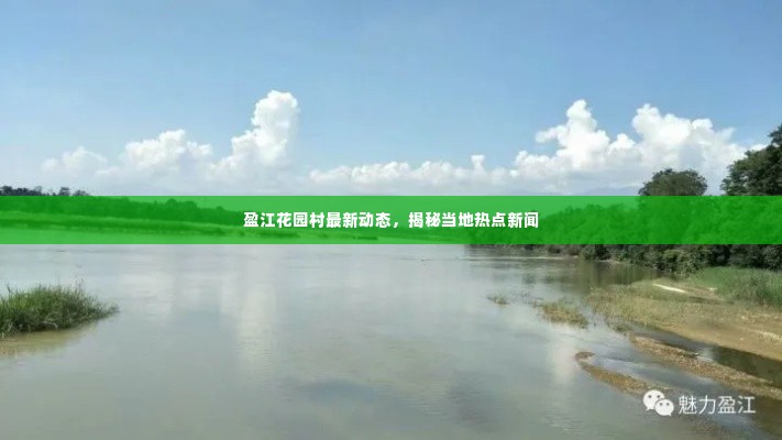 盈江花园村最新动态，揭秘当地热点新闻
