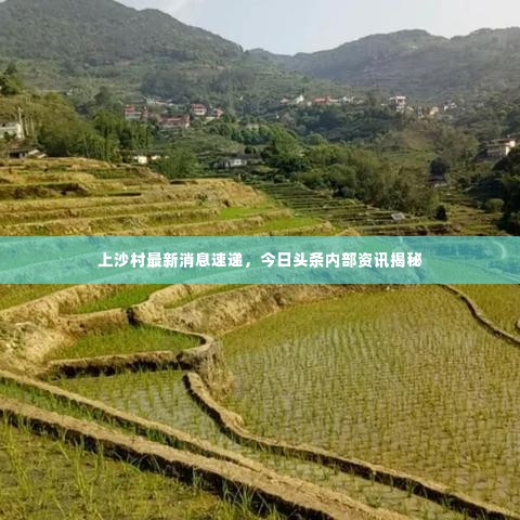 上沙村最新消息速递，今日头条内部资讯揭秘