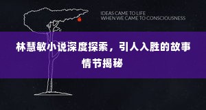 林慧敏小说深度探索，引人入胜的故事情节揭秘