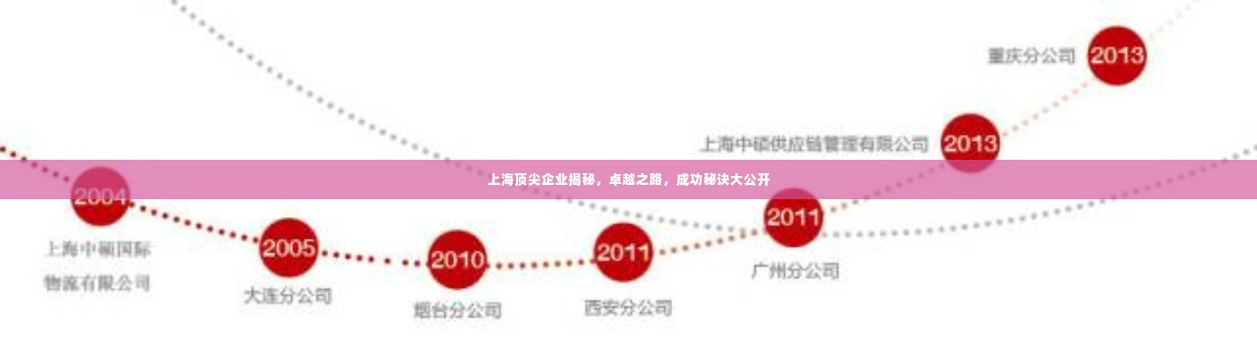 上海顶尖企业揭秘，卓越之路，成功秘诀大公开
