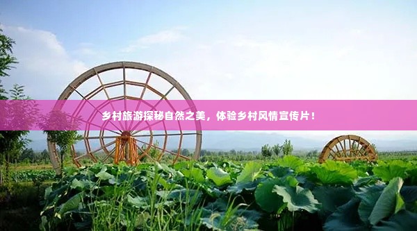 乡村旅游探秘自然之美，体验乡村风情宣传片！