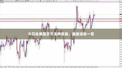 今日非美国货币走势更新，最新消息一览
