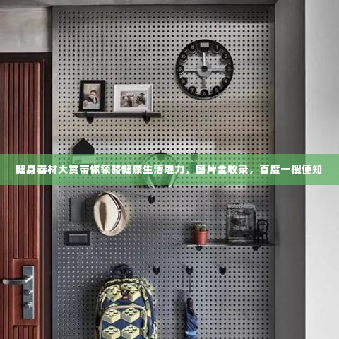 健身器材大赏带你领略健康生活魅力，图片全收录，百度一搜便知