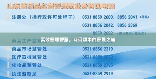高效管理智慧，诗词颂中的管理之道
