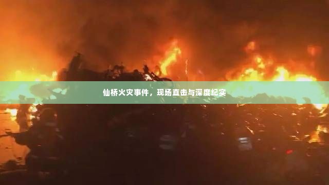 仙桥火灾事件，现场直击与深度纪实