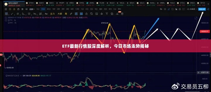 ETF最新行情股深度解析，今日市场走势揭秘