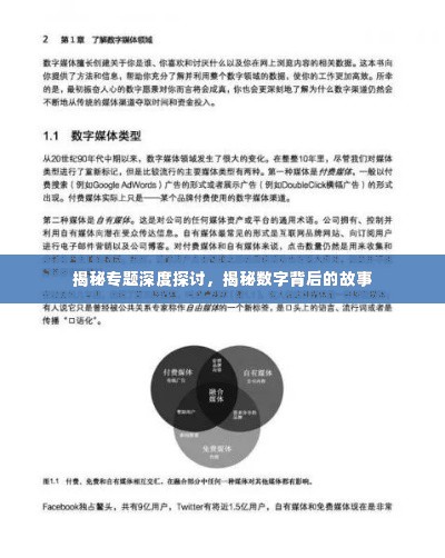 揭秘专题深度探讨，揭秘数字背后的故事