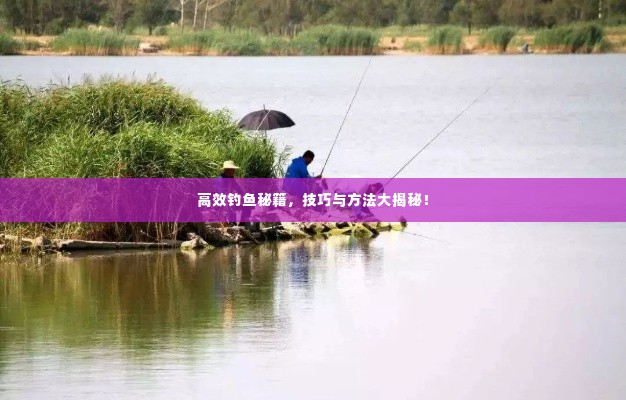 高效钓鱼秘籍，技巧与方法大揭秘！