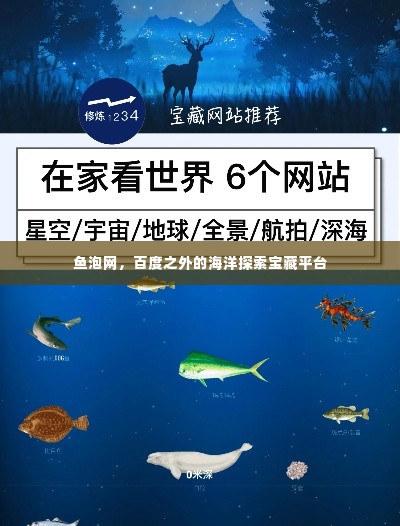 鱼泡网，百度之外的海洋探索宝藏平台