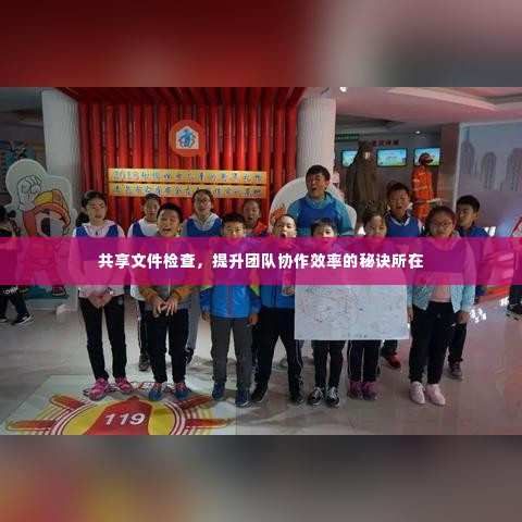 共享文件检查，提升团队协作效率的秘诀所在