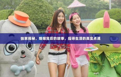 独家揭秘，婚姻背后的故事，探寻生活的真实点滴