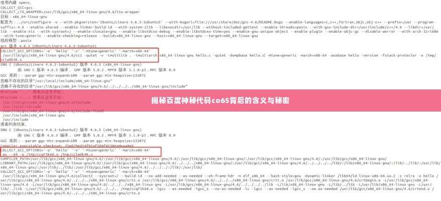 揭秘百度神秘代码co65背后的含义与秘密