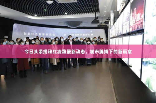 今日头条揭秘红凌路最新动态，城市脉搏下的新篇章
