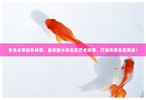 金鱼水草配色秘籍，最新版水生生态艺术指南，打造完美生态美景！
