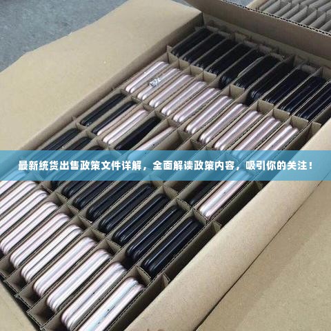 最新统货出售政策文件详解，全面解读政策内容，吸引你的关注！