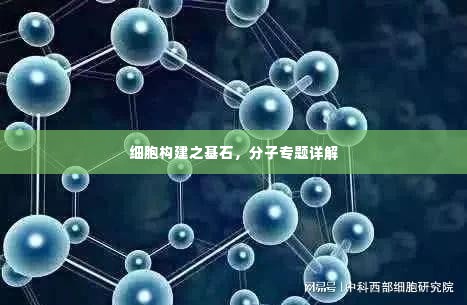 细胞构建之基石，分子专题详解