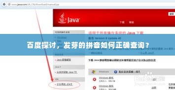 百度探讨，发芽的拼音如何正确查询？