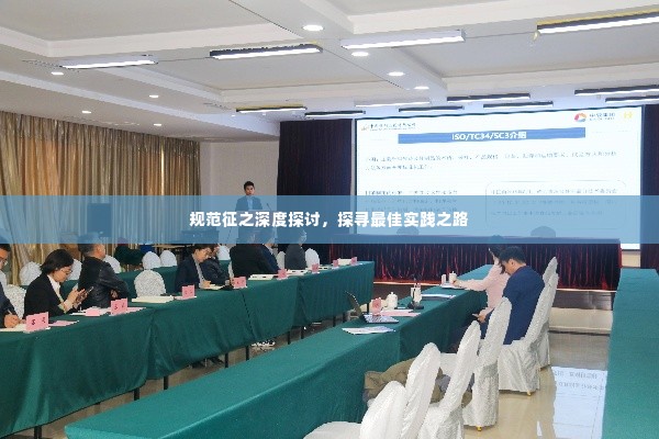 规范征之深度探讨，探寻最佳实践之路