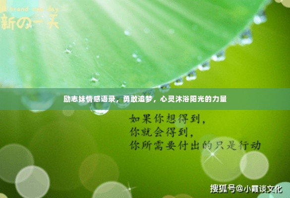 励志妹情感语录，勇敢追梦，心灵沐浴阳光的力量