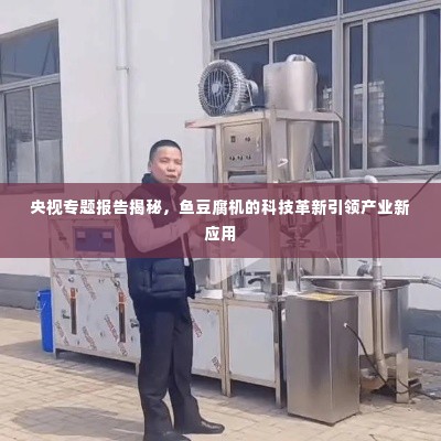 央视专题报告揭秘，鱼豆腐机的科技革新引领产业新应用