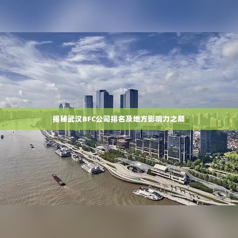 揭秘武汉BFC公司排名及地方影响力之巅