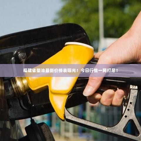 2025年6月5日 第3页