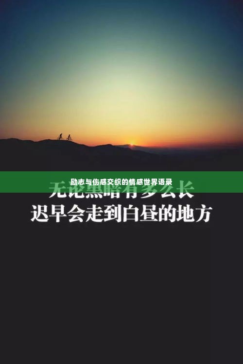 2025年6月5日