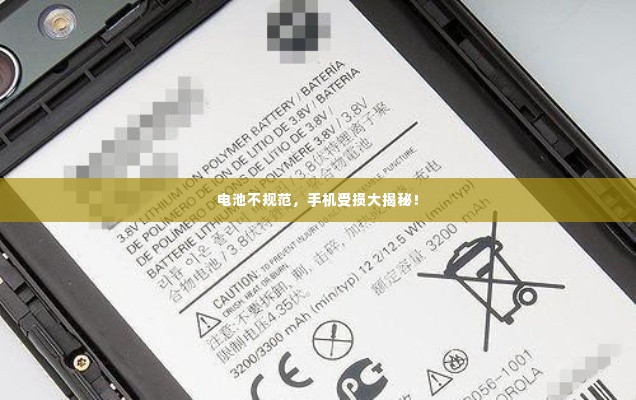 电池不规范，手机受损大揭秘！