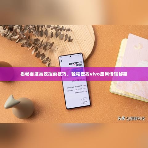 揭秘百度高效搜索技巧，轻松查找vivo应用传输秘籍