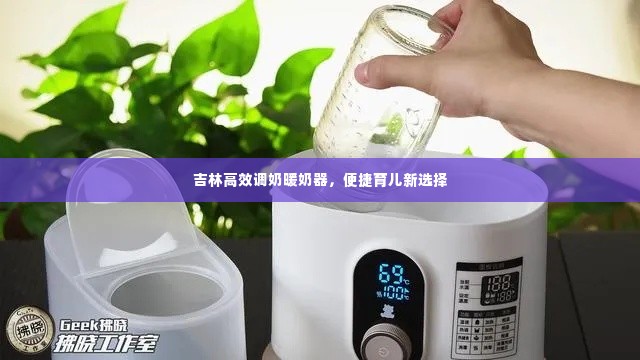 吉林高效调奶暖奶器，便捷育儿新选择
