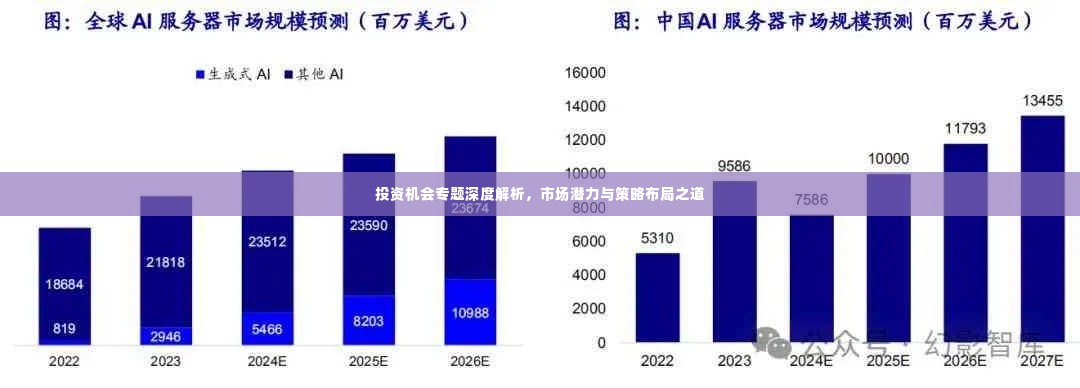 投资机会专题深度解析，市场潜力与策略布局之道