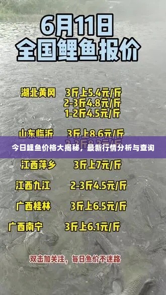 2025年6月7日
