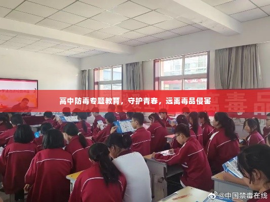 高中防毒专题教育，守护青春，远离毒品侵害