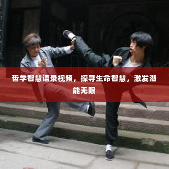 哲学智慧语录视频，探寻生命智慧，激发潜能无限