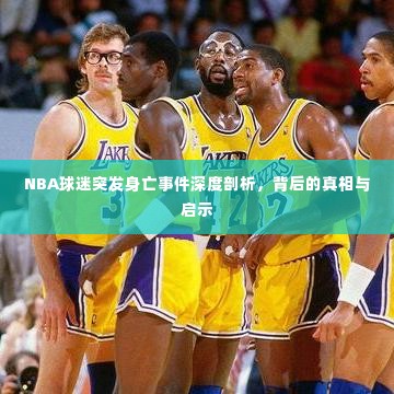 NBA球迷突发身亡事件深度剖析，背后的真相与启示