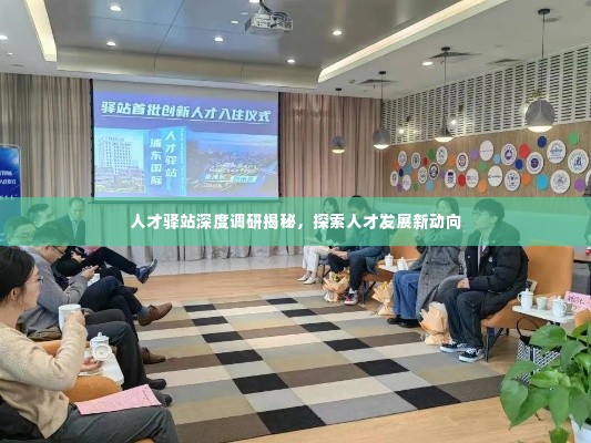 人才驿站深度调研揭秘，探索人才发展新动向