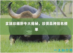 全球珍稀野牛大揭秘，珍贵品种排名榜单