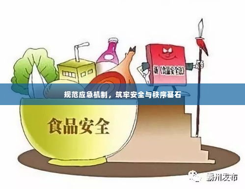 规范应急机制，筑牢安全与秩序基石