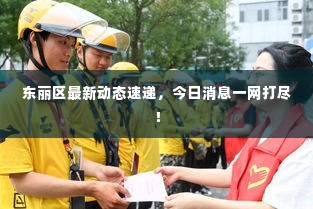 东丽区最新动态速递，今日消息一网打尽！