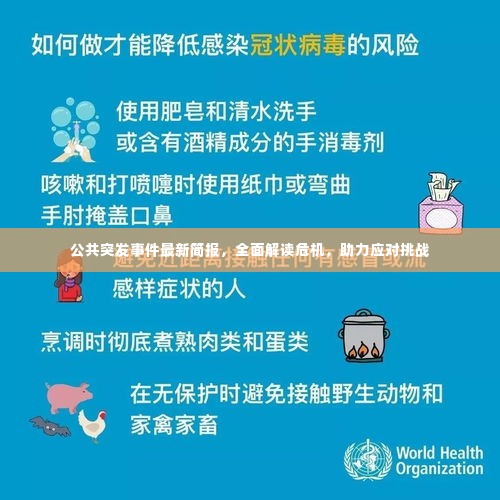 公共突发事件最新简报，全面解读危机，助力应对挑战