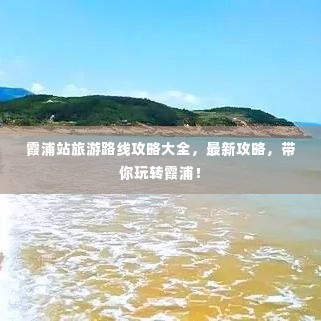 2025年6月12日 第3页