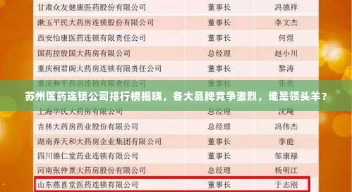 苏州医药连锁公司排行榜揭晓，各大品牌竞争激烈，谁是领头羊？