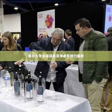 图尔大学全球排名及学术影响力解析